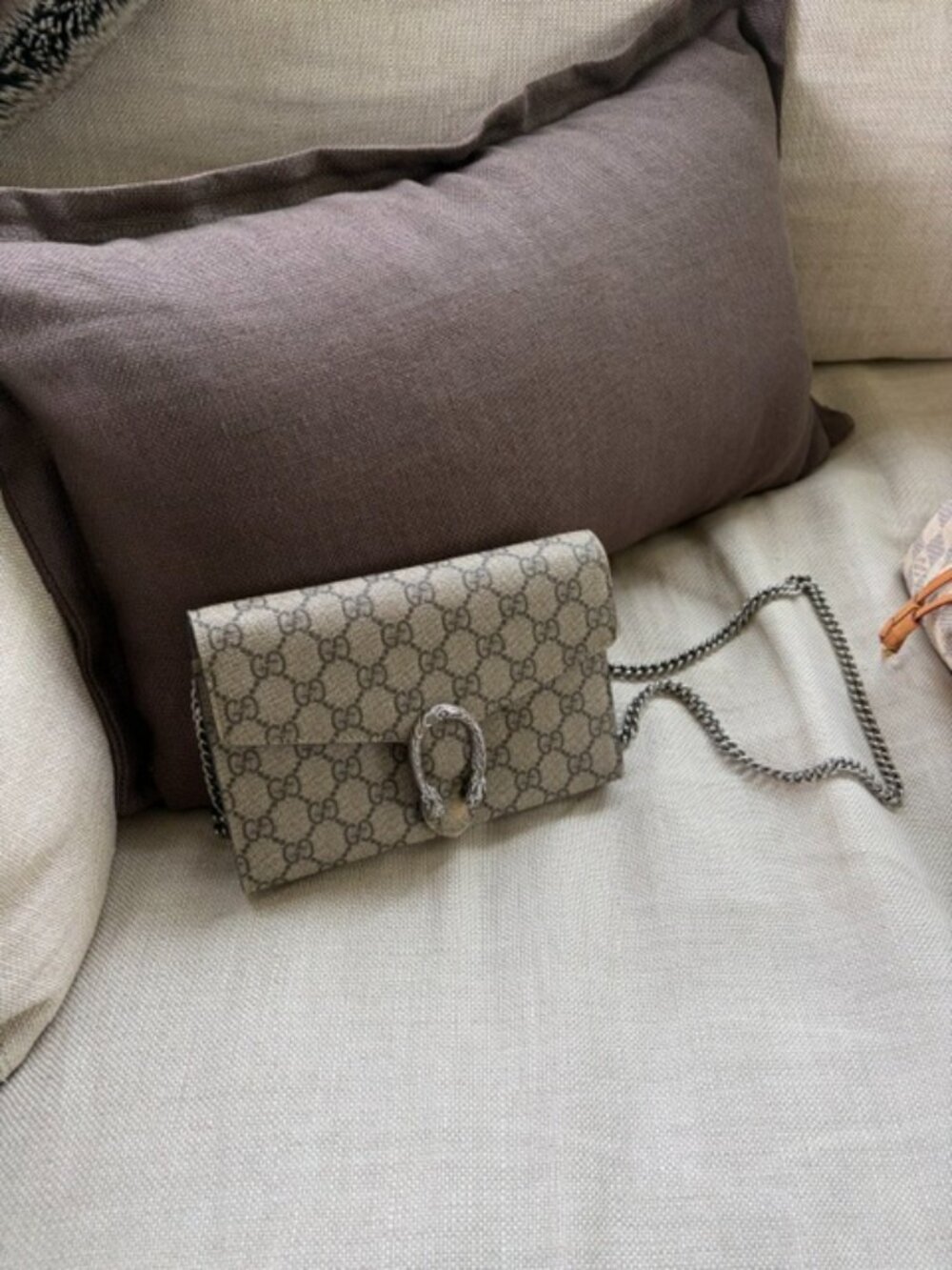 Gucci - Picture 5 of 10